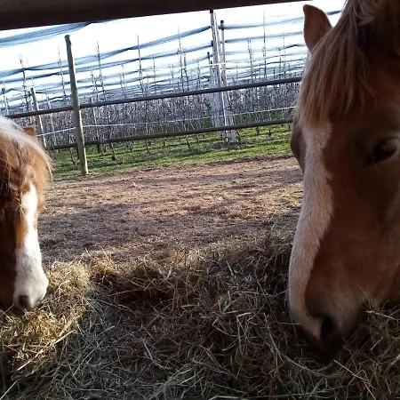 Obsthof Mainberger דירה *