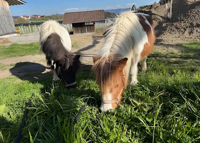 Obsthof Mainberger Apartamento