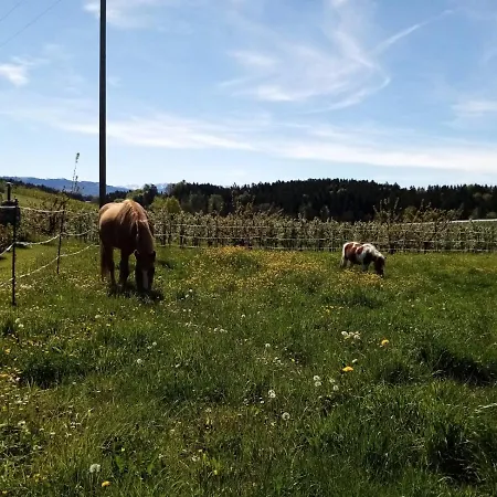 Obsthof Mainberger Kressbronn am Bodensee