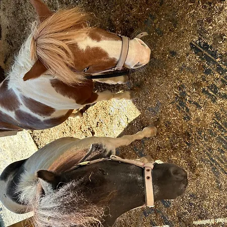 Obsthof Mainberger *