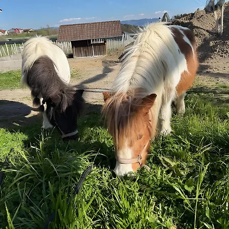 Obsthof Mainberger Апартаменты